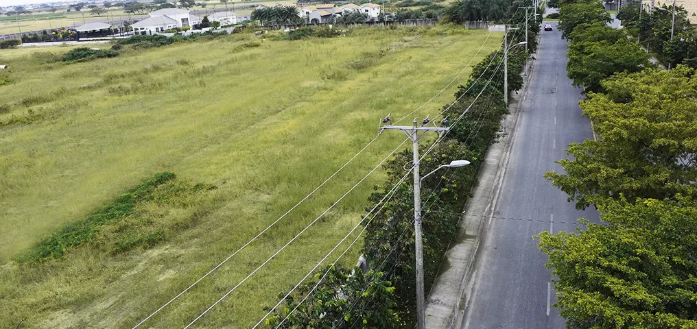 LINEA DE DISTRIBUCIÓN